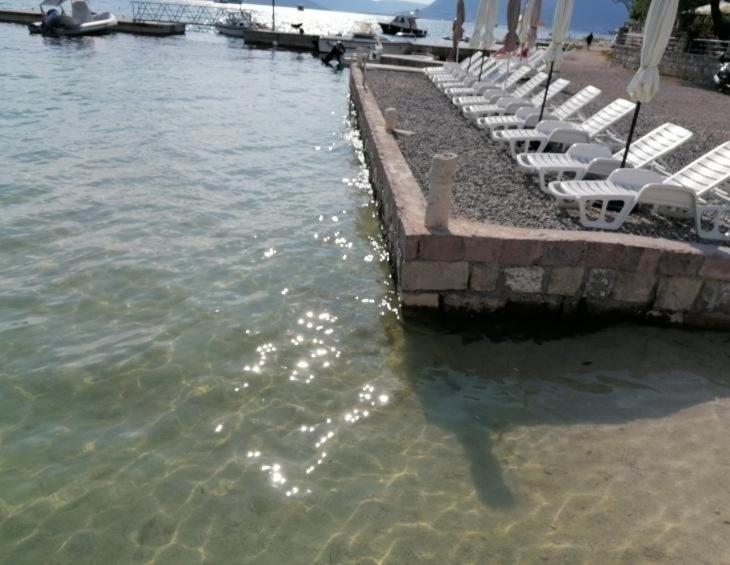 Tondo Apartment Tivat Exterior photo